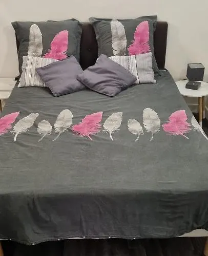 Rue Fesch - Vieille アパート *