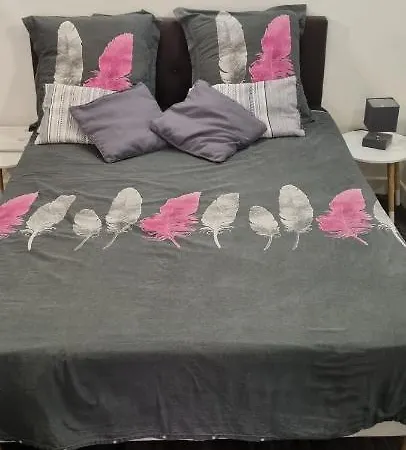 Rue Fesch - Vieille Διαμέρισμα *