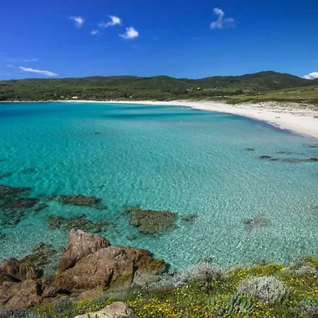 Rue Fesch - Vieille * Ajaccio (Corsica)