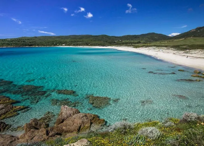 Rue Fesch - Vieille * Ajaccio